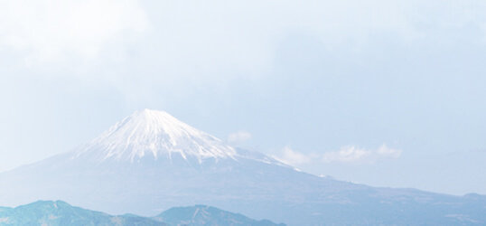 焼津市・牧之原市の弁護士